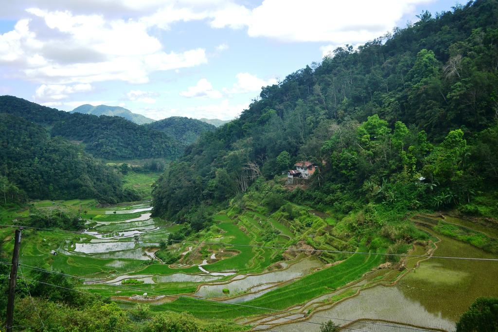 Banaue Greenfields Inn Zewnętrze zdjęcie